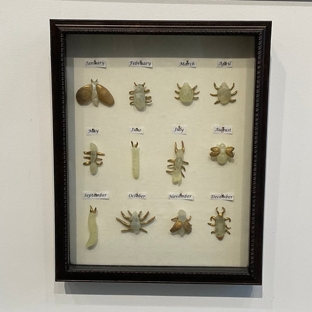 A year in infestation