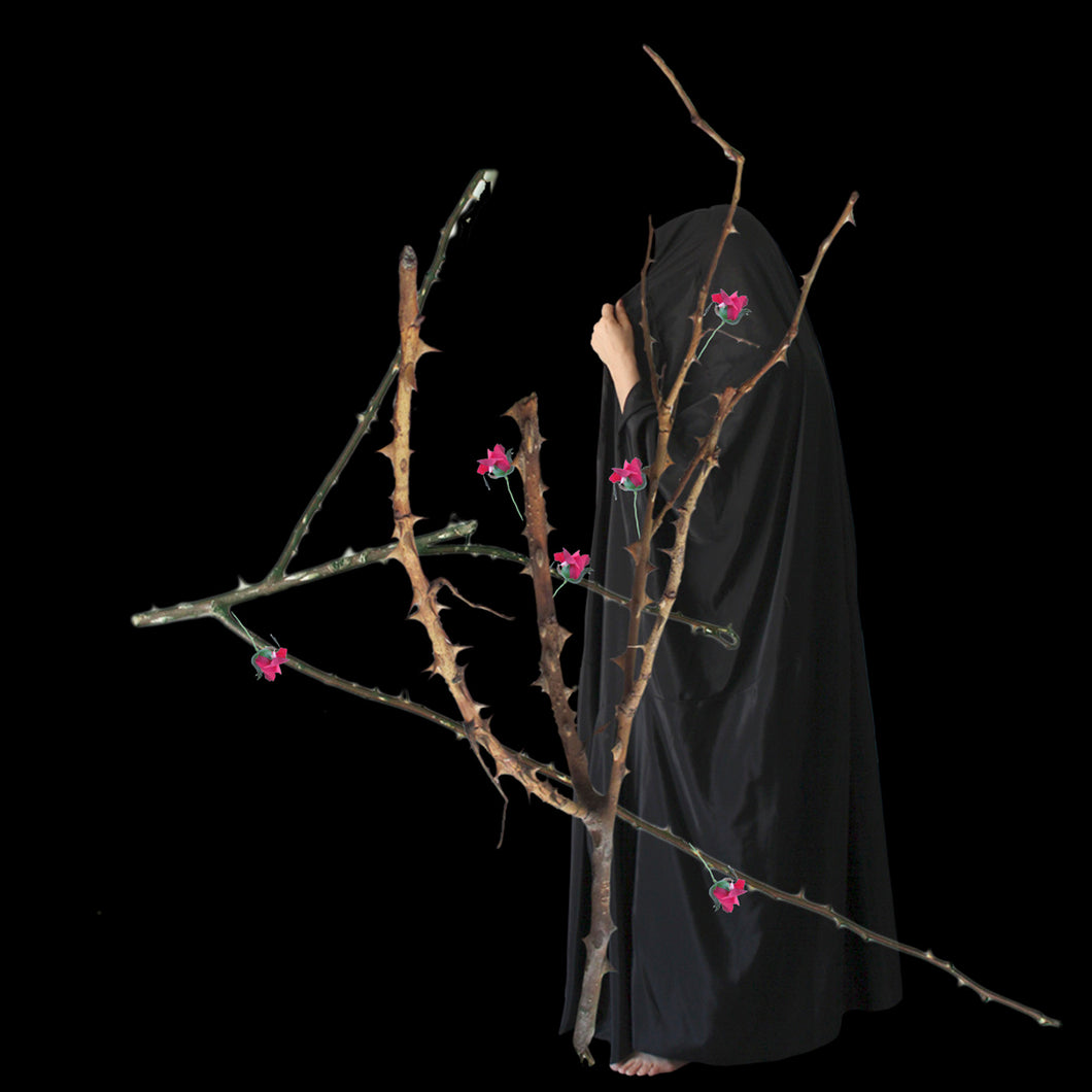 DANS LE JARDIN DES ROSE 3