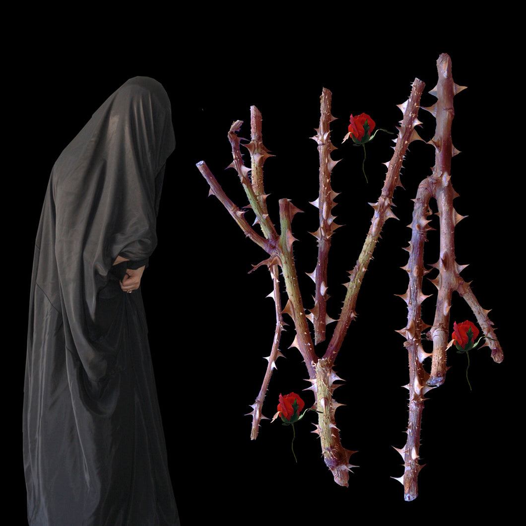 DANS LE JARDIN DES ROSE 2