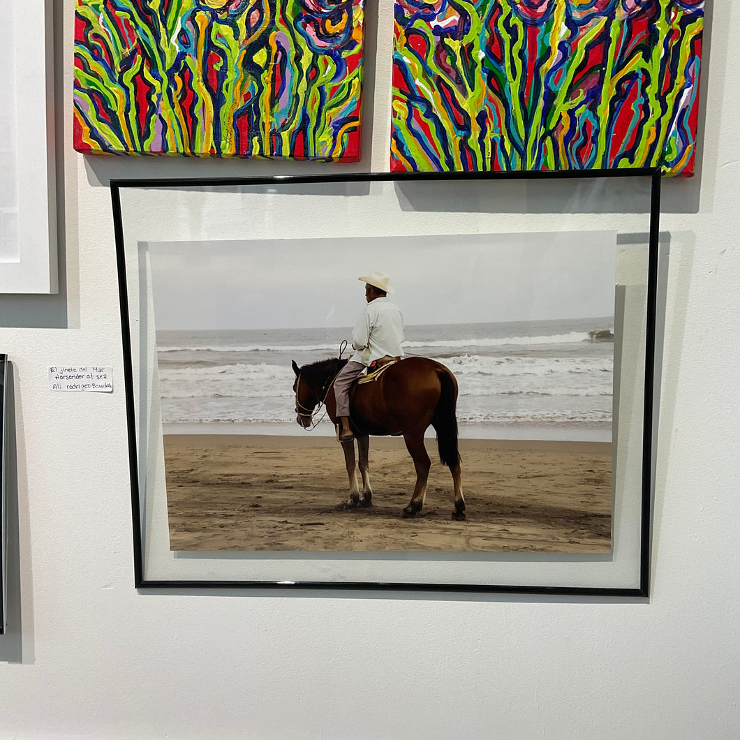 El Jinete del Mar / Horserider at Sea