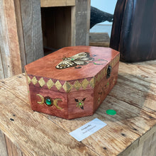 Load image into Gallery viewer, Dragonfly
