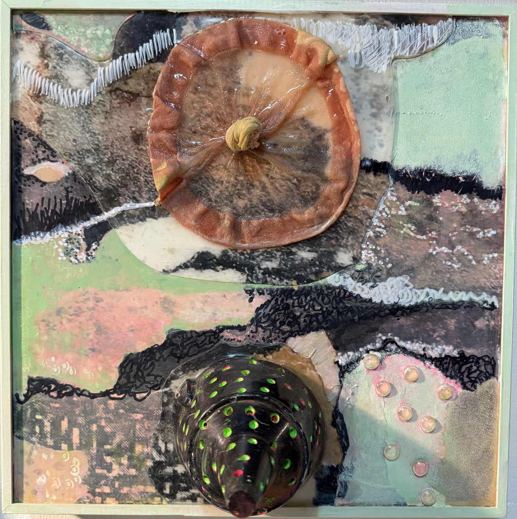 La non-binarité des végétaux