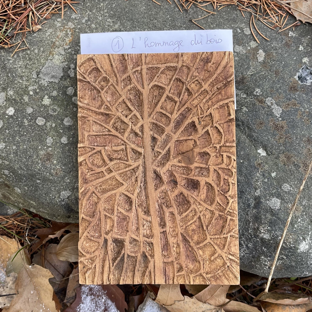 L’hommage du bois