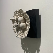 Load image into Gallery viewer, Eggsactly #1
