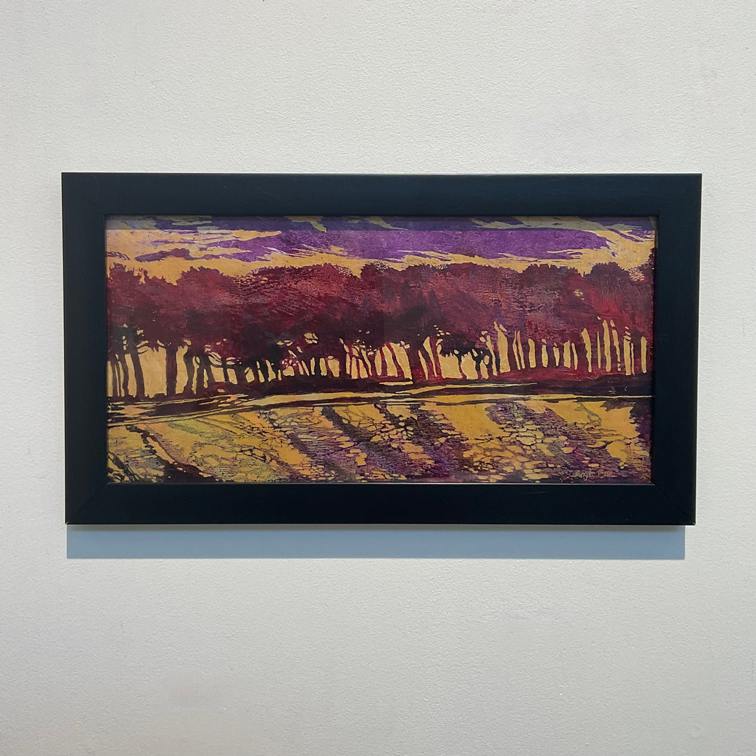 Evening Glow on Apple Orchard