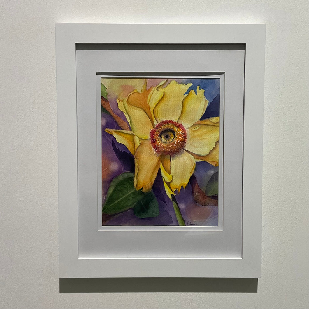 Hang On Yellow Coreopsis