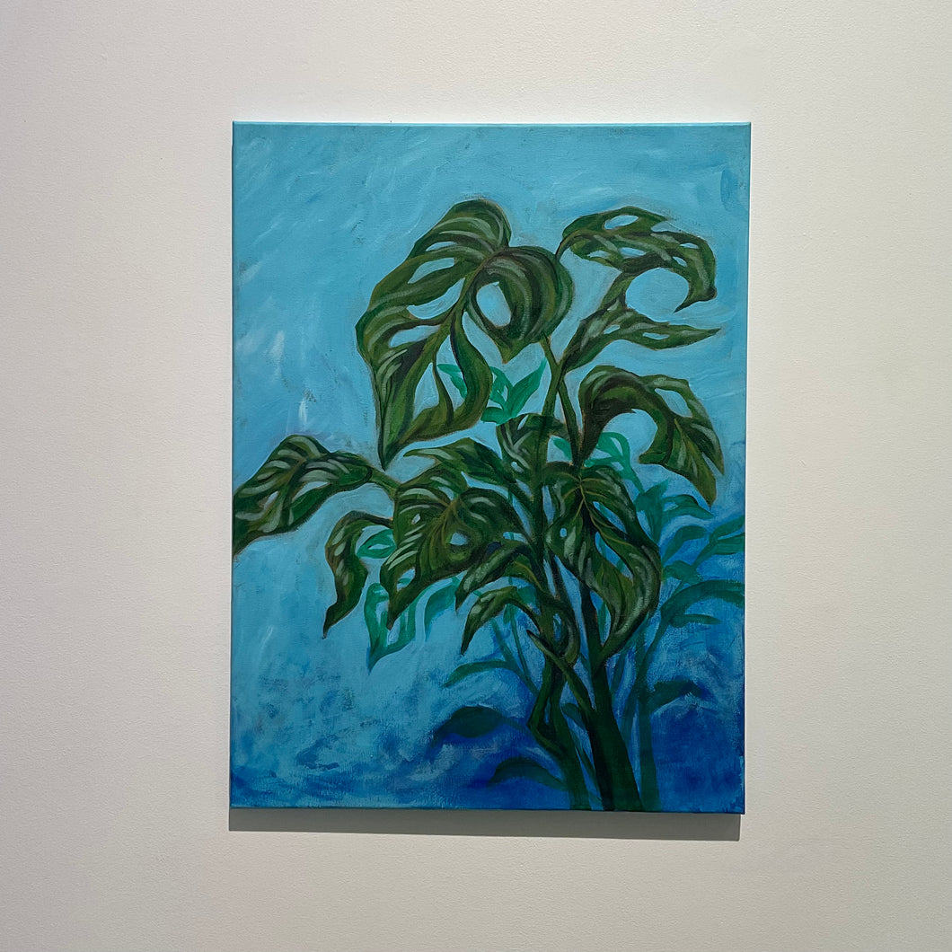 House Plant Contemplation