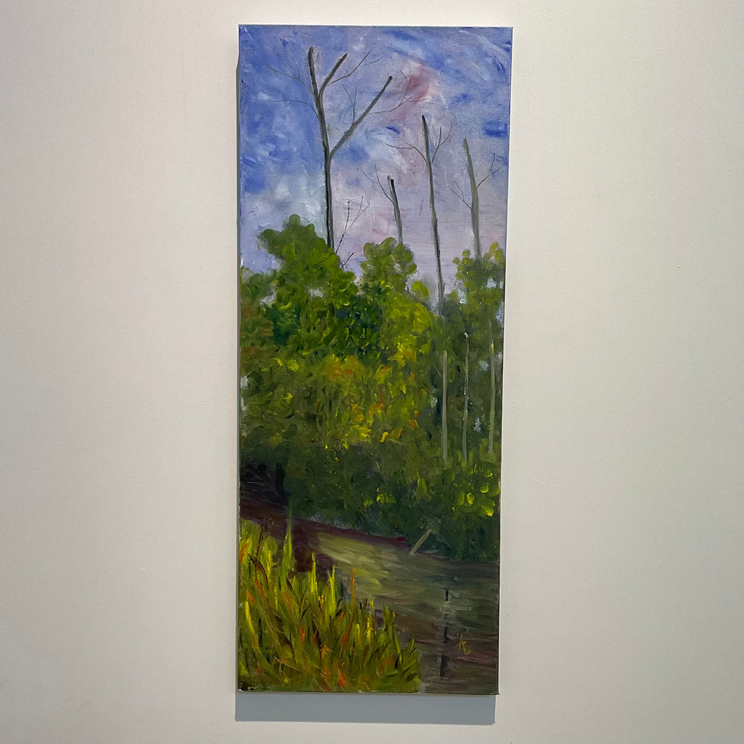 Junction Creek Summer