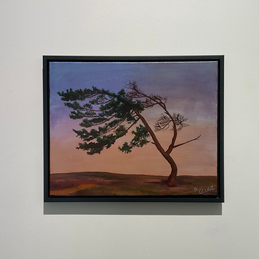 The Tree at Killbear Provincial Park