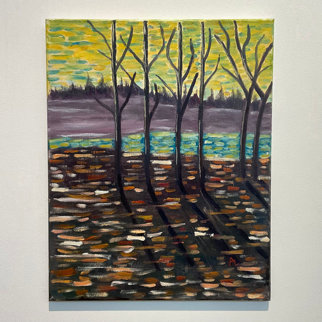 Trees Along Junction Creek