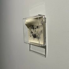 Load image into Gallery viewer, WASARA # 2
