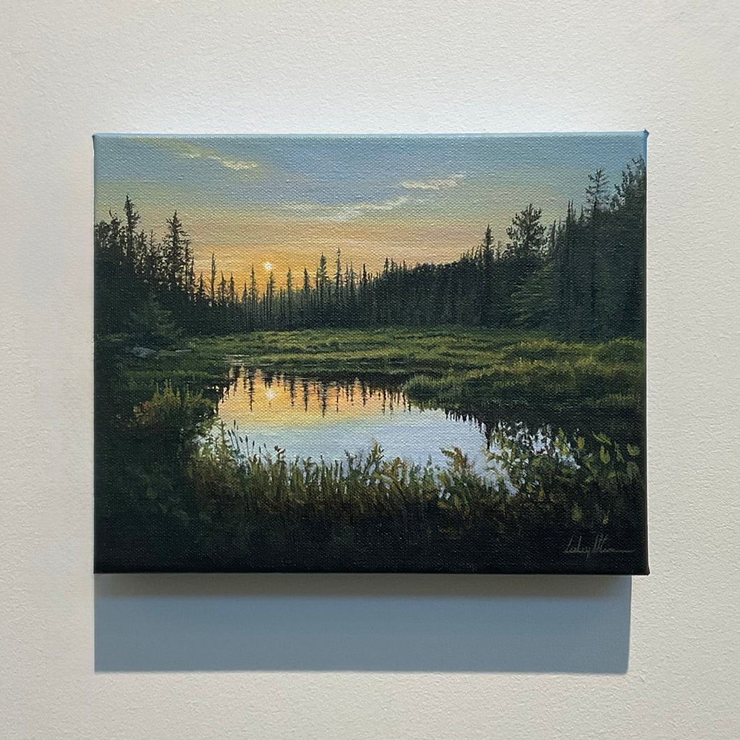 Wetland Sunset
