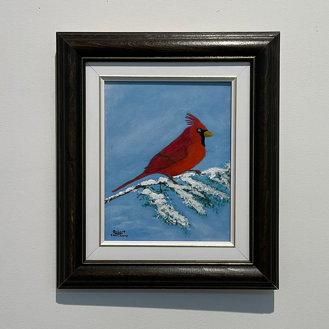 Winter Cardinal